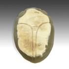 Toggle depicting Beetle
