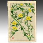Yellow Flower