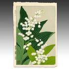 Lily of the Valley