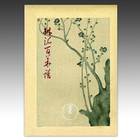Plum Blossoms