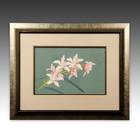 Ranka-Fu Orchid Series