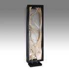 Natural Root Form, framed & Based