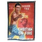 Cheetah on Fire