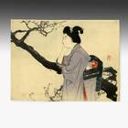 Bijin Kanbai or Beauty beside Plum Tree